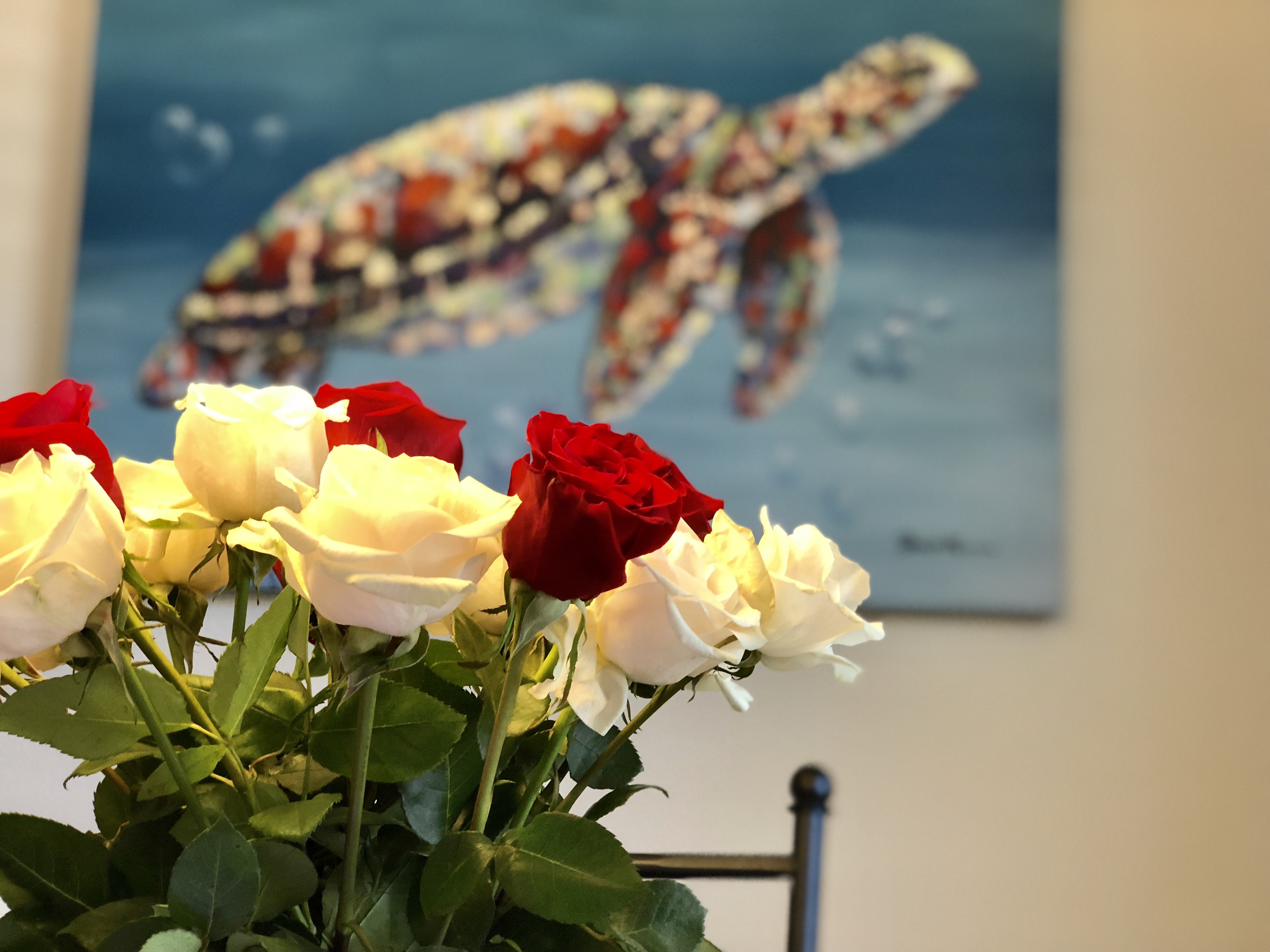 Guest Reviews. Roses turtle